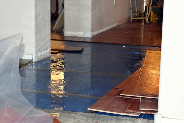 Professional Basement Flood Cleanup technician working in Albion, ME